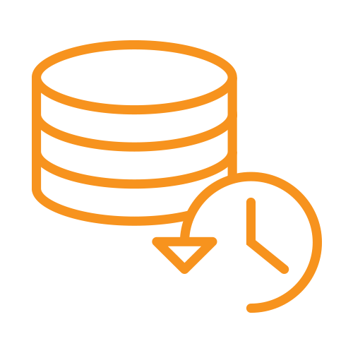 Business Disaster Recovery Service